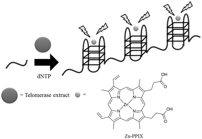 Figure 20.