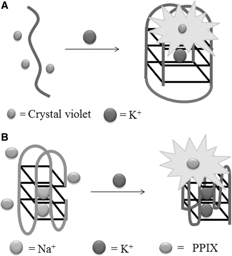 Figure 11.