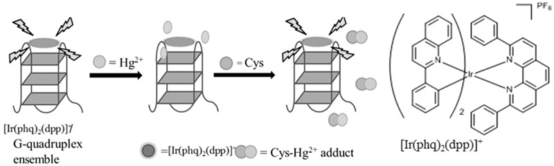 Figure 16.