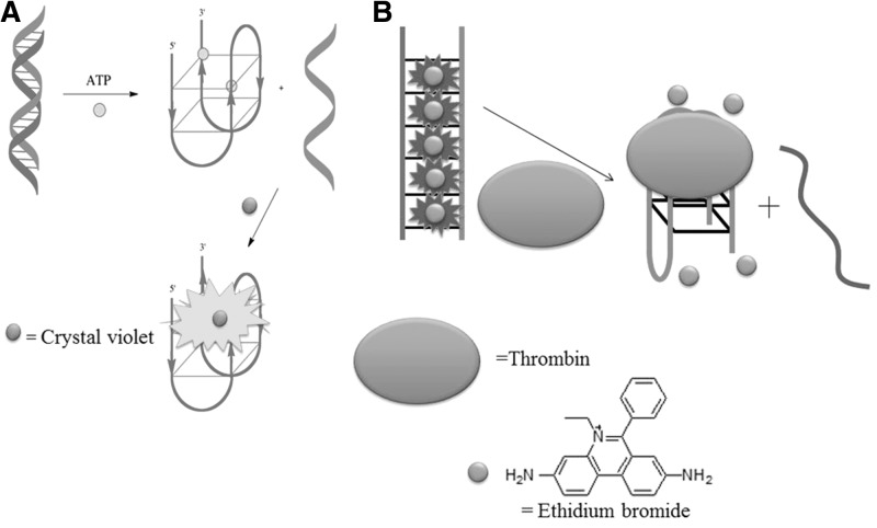 Figure 7.