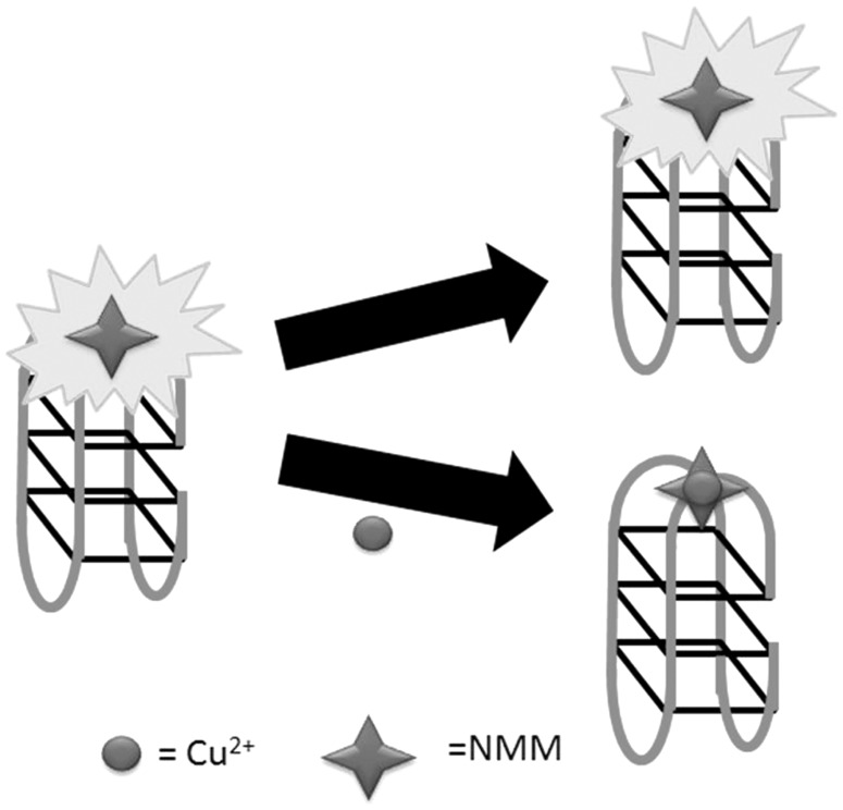 Figure 13.