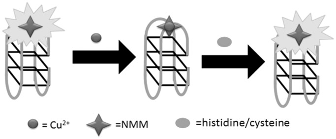 Figure 15.