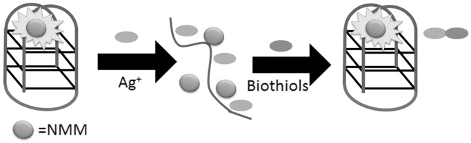 Figure 14.