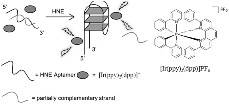 Figure 9.