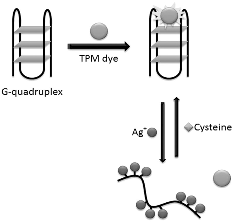 Figure 21.