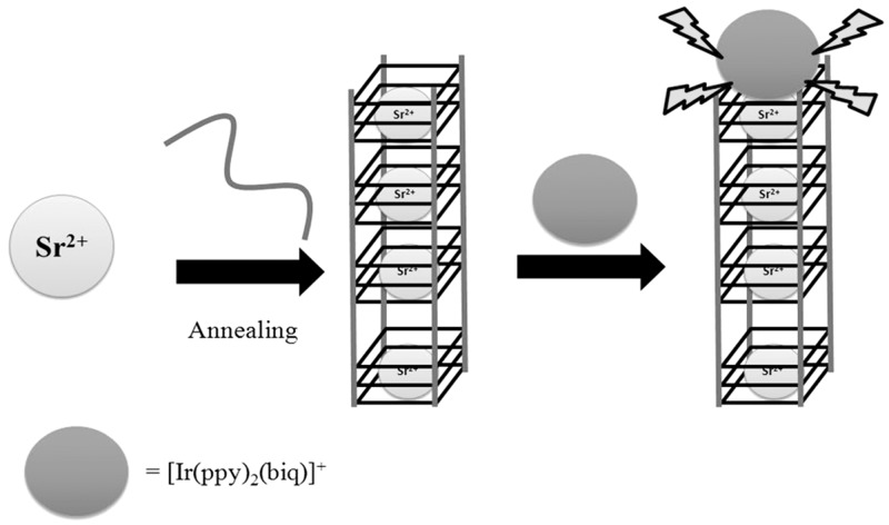 Figure 12.