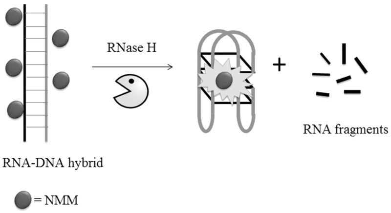 Figure 17.