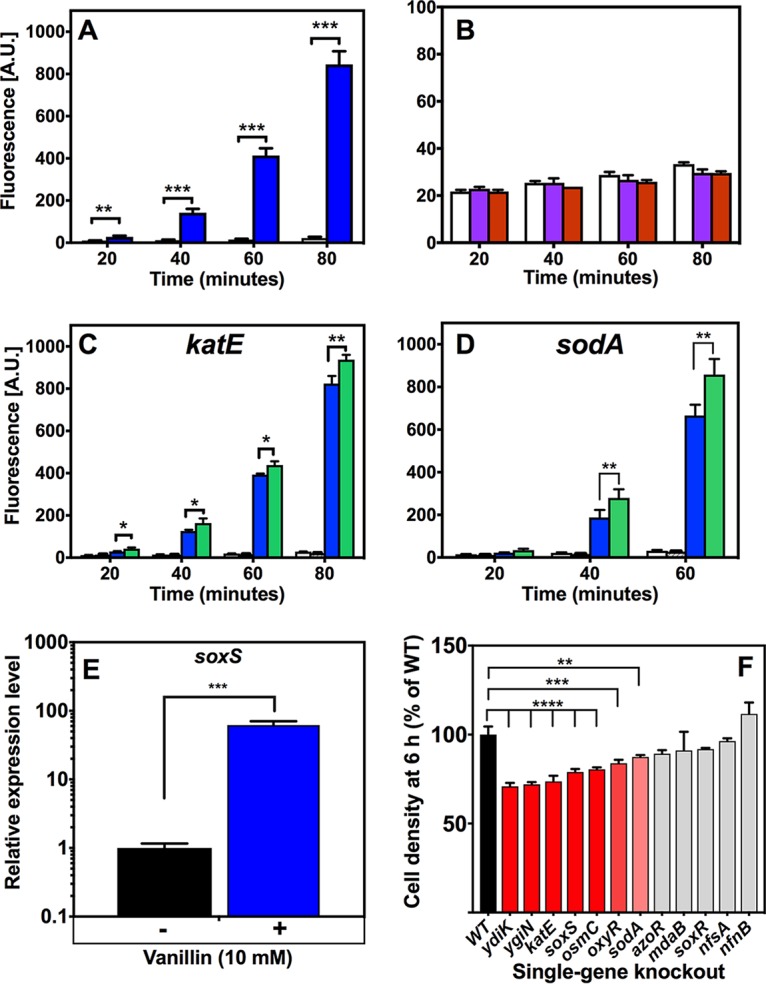 FIG 6