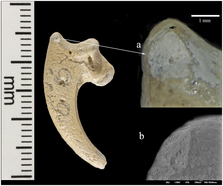 Fig 2