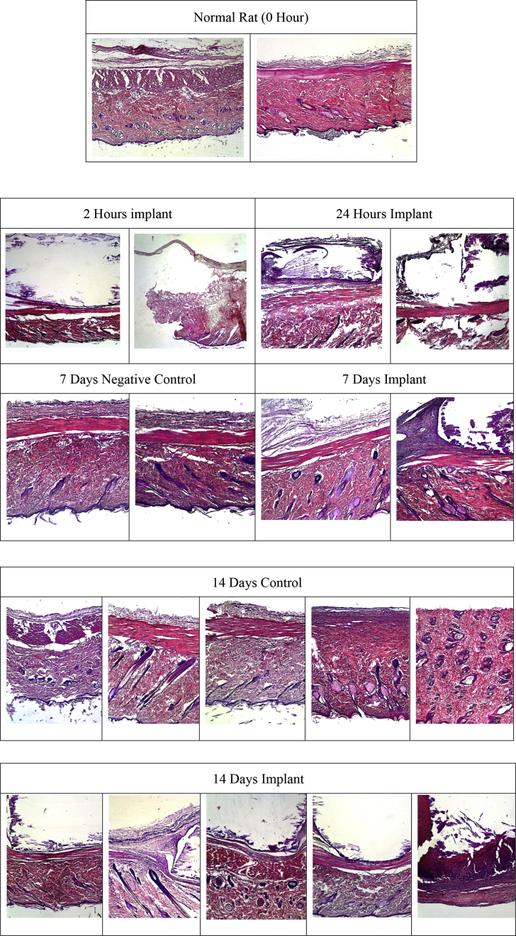 Figure 2