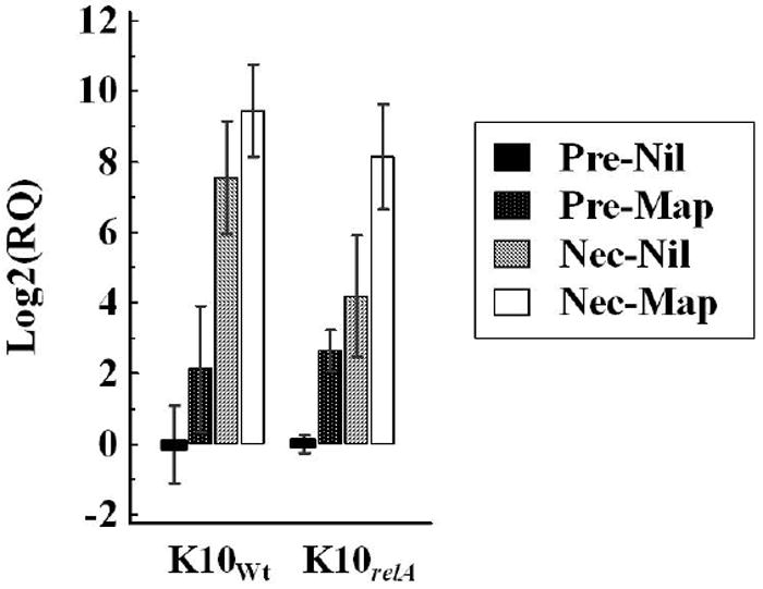 FIG. 6