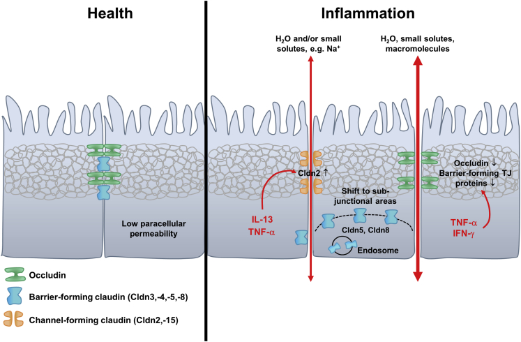 Figure 2