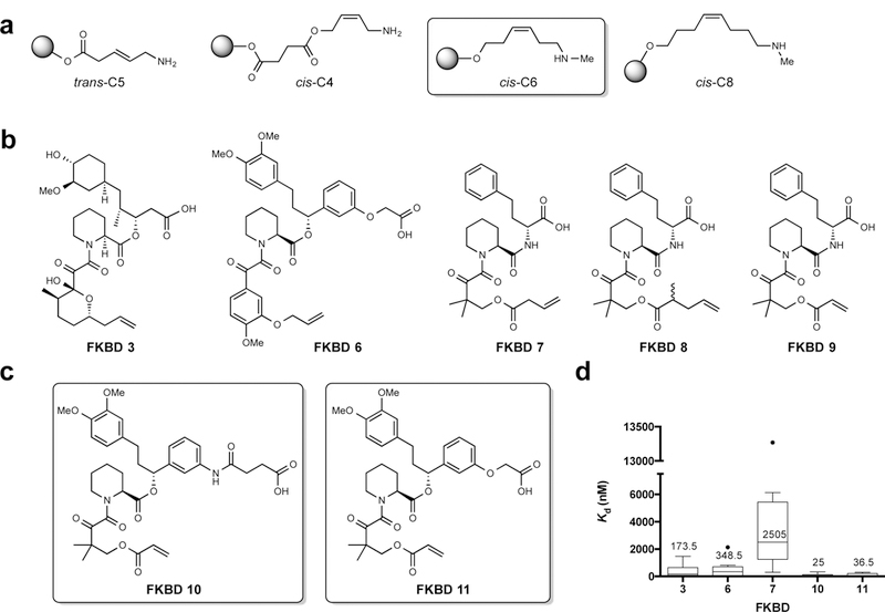 Figure 2 |