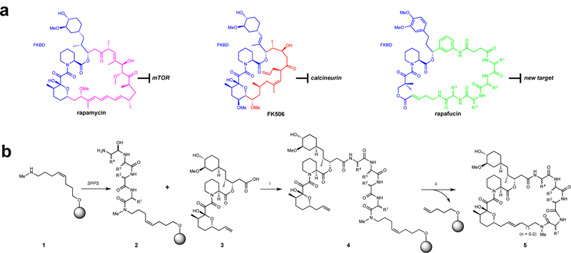 Figure 1 |