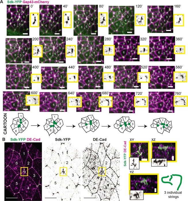 Fig 3