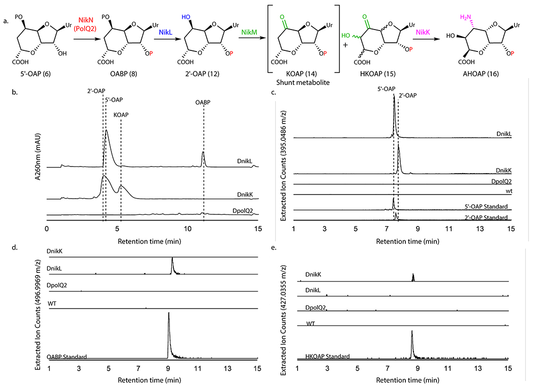 Figure 5.