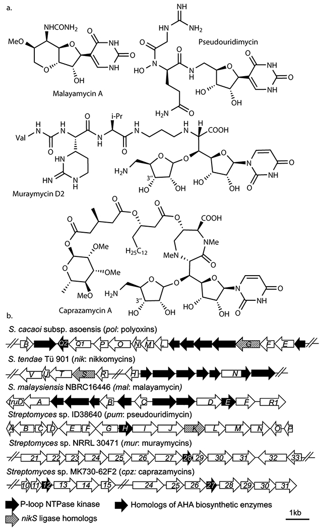 Figure 6.