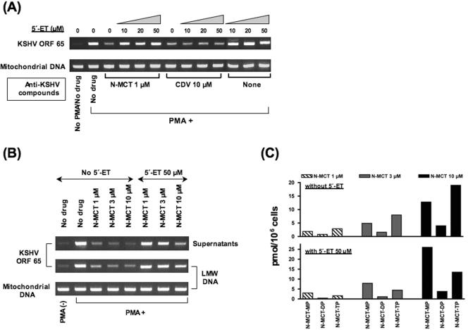 FIG. 4.