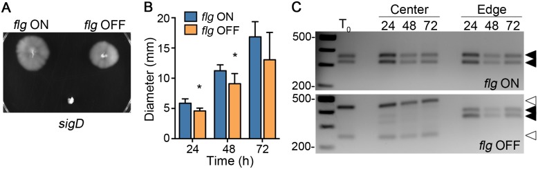 Fig 5