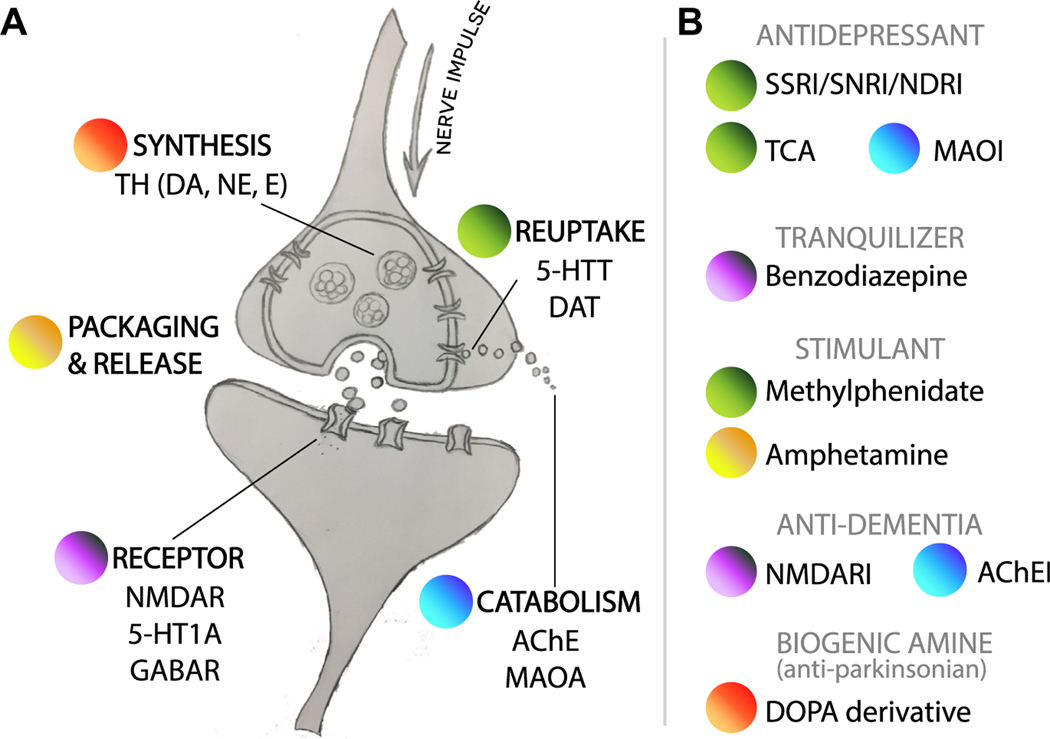 Fig. 1.