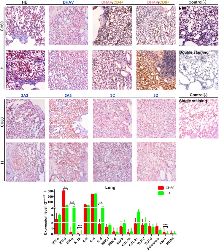 Fig 10