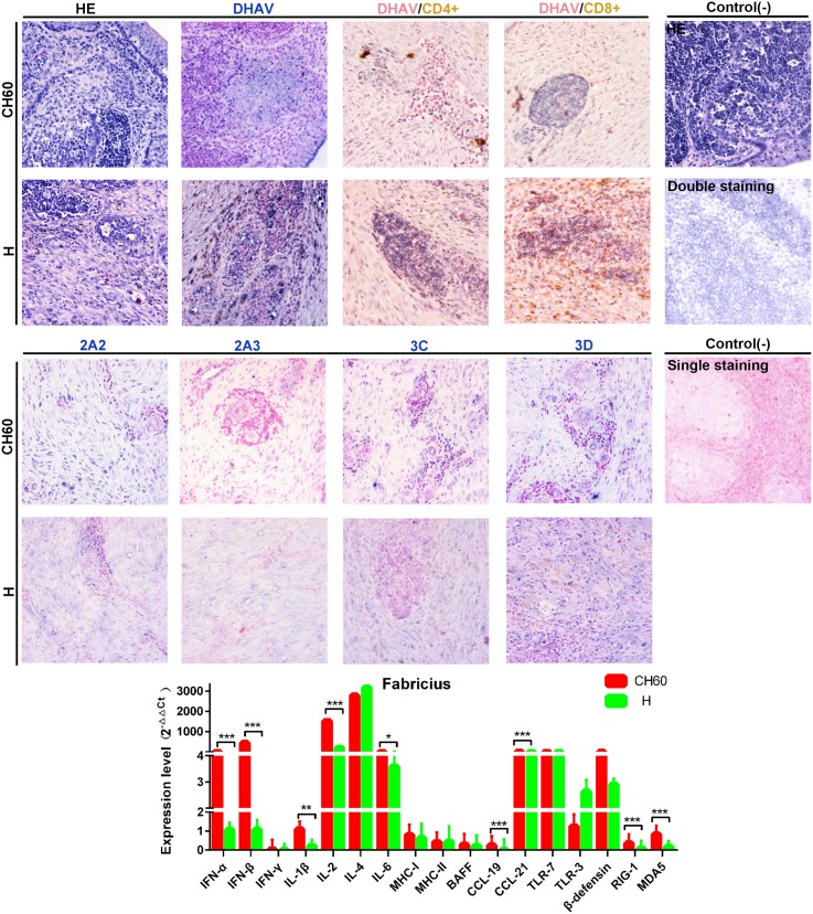 Fig 13