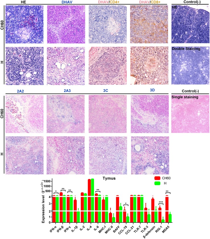 Fig 12