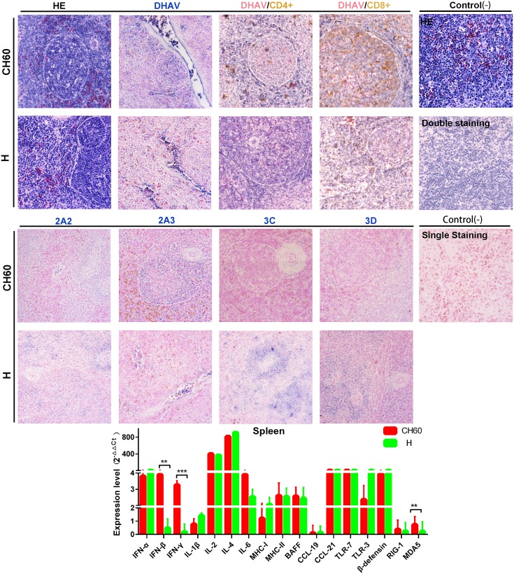 Fig 8