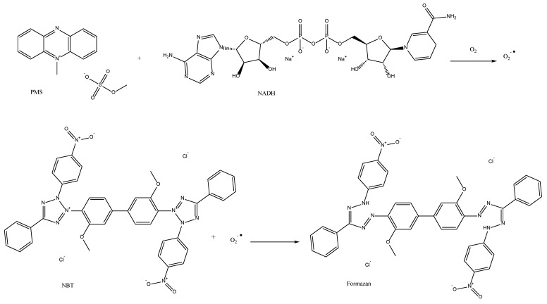 Figure 17