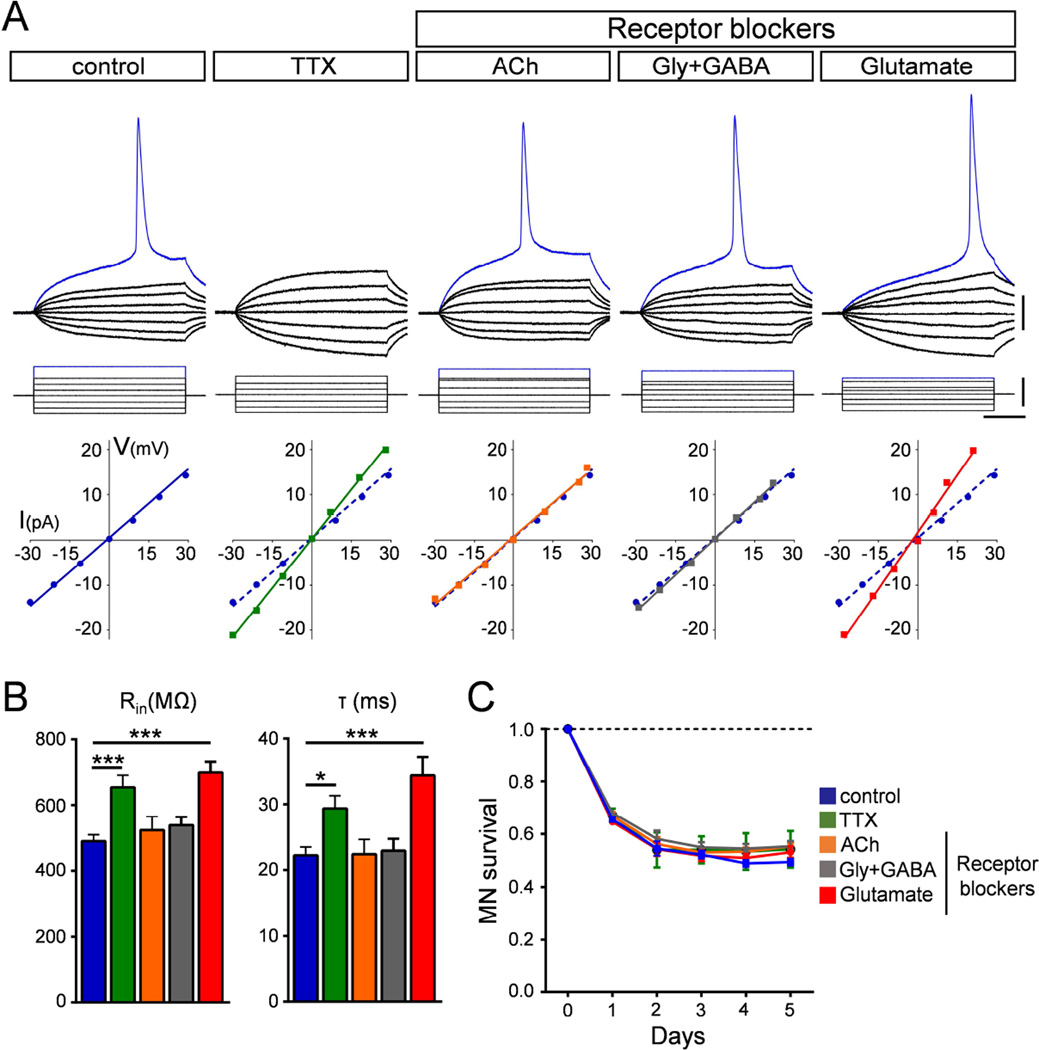 Figure 7