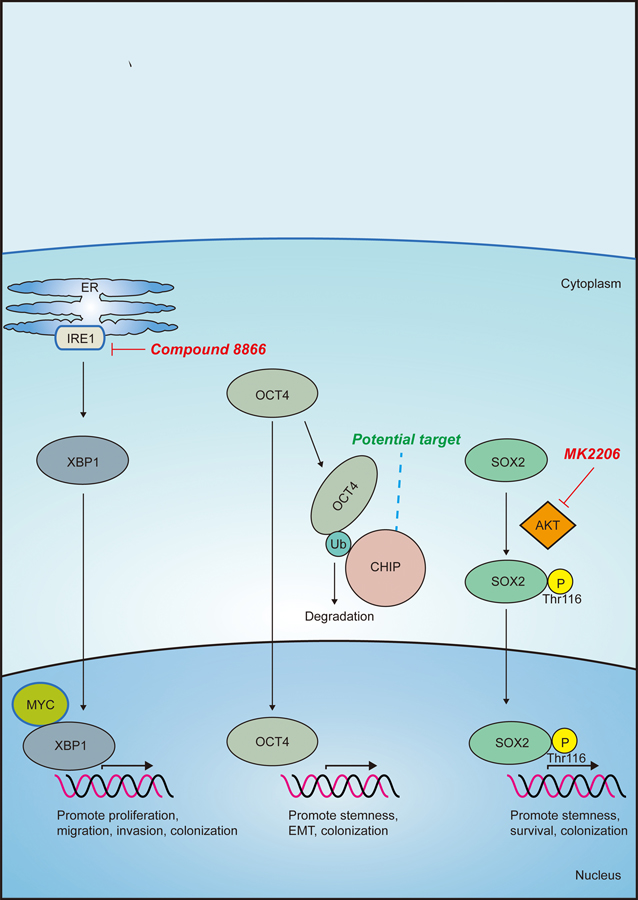 Figure 3: