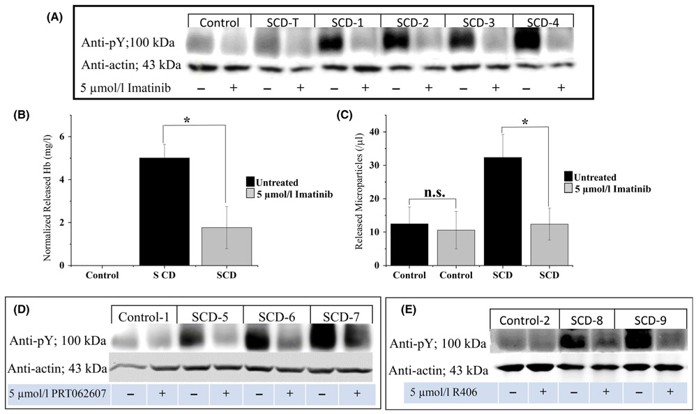 Fig 3.