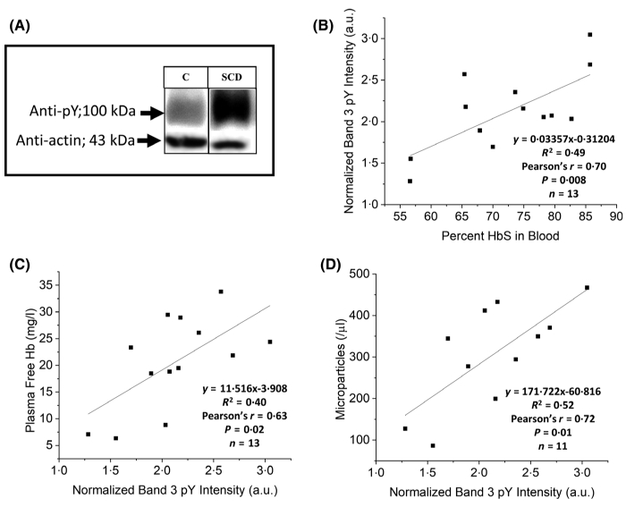 Fig 2.