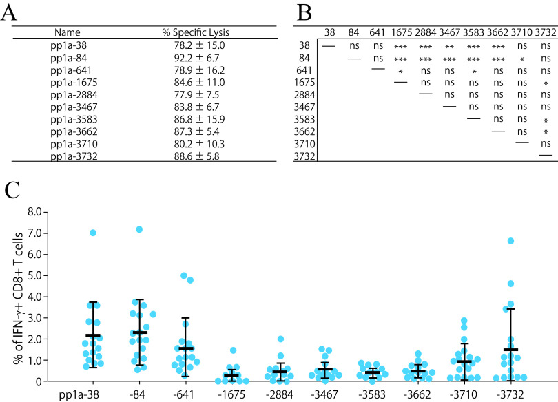 FIG 3