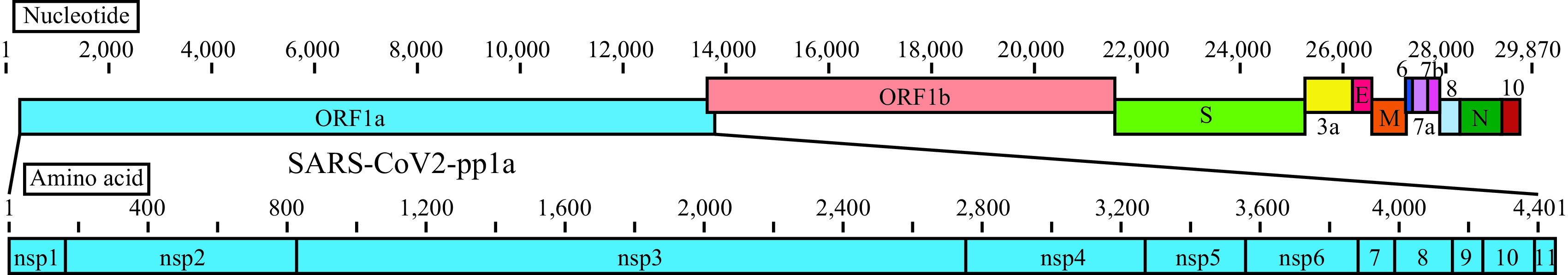 FIG 1