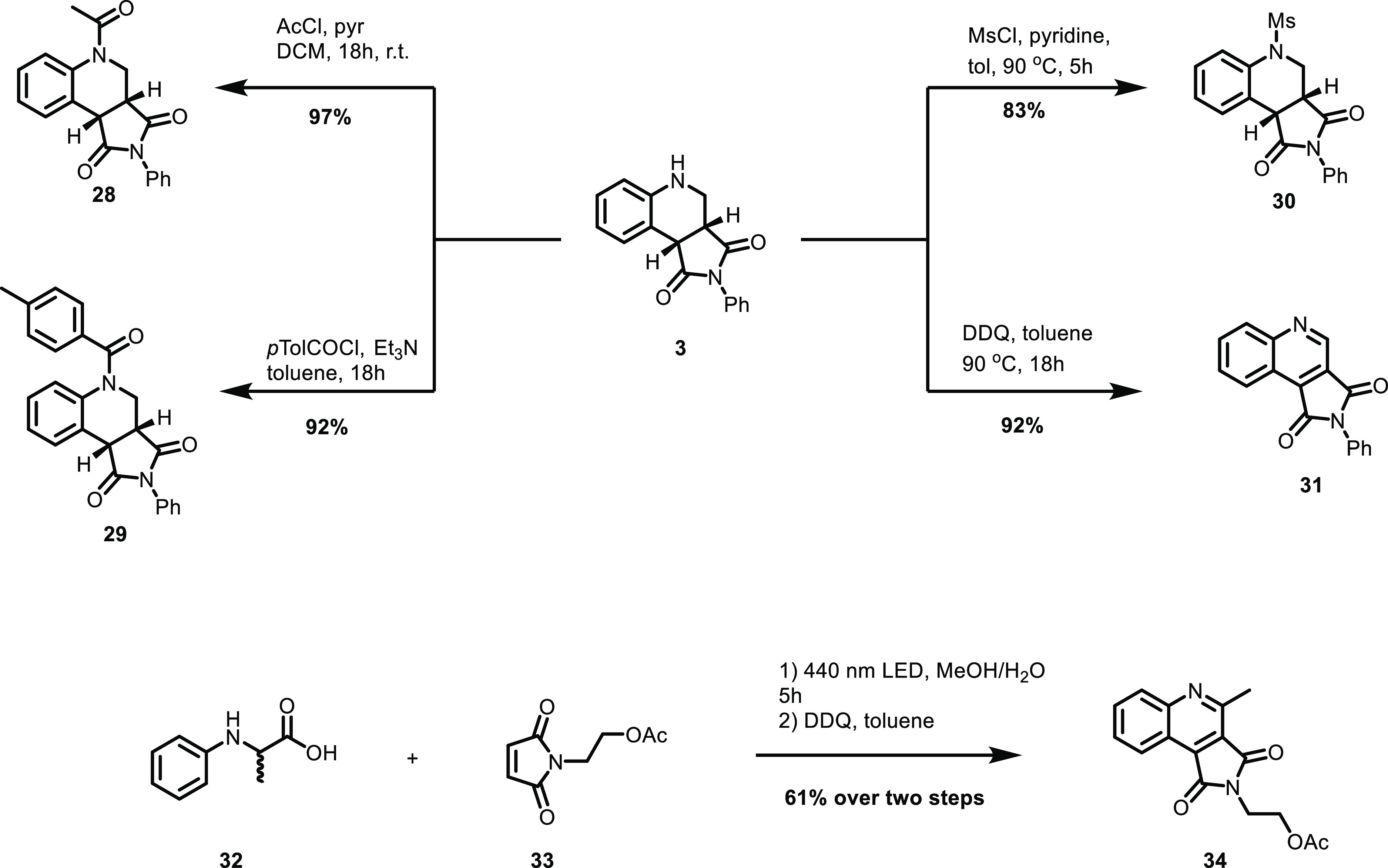 Scheme 5