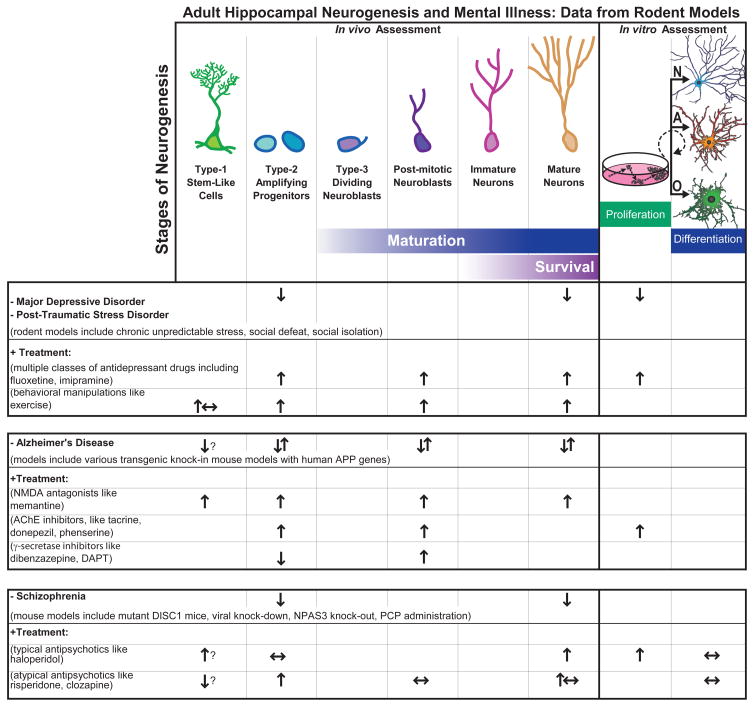 graphic file with name nihms172106f2.jpg