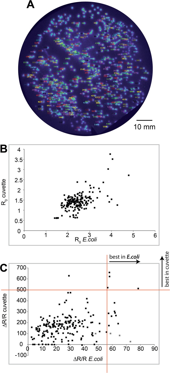 Fig 7