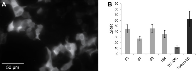 Fig 8