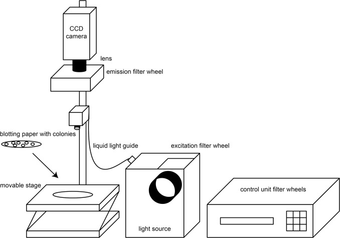 Fig 1