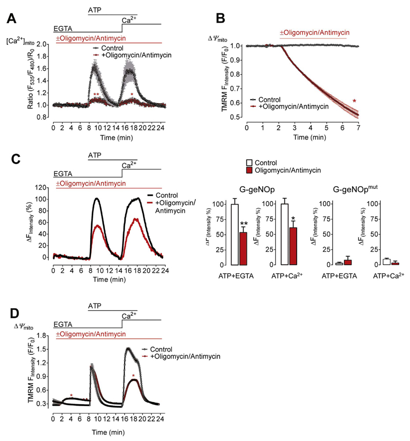 Fig. 4