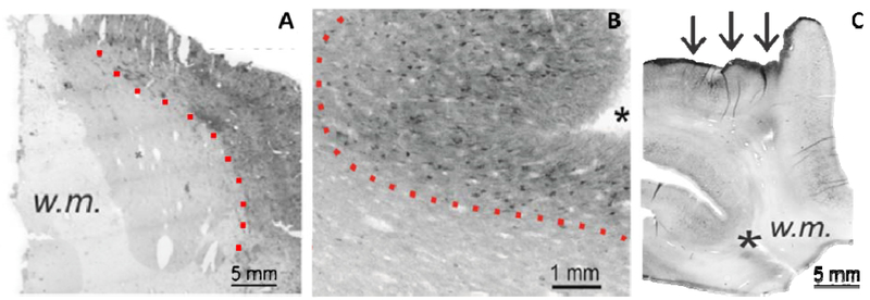 Figure 1 :