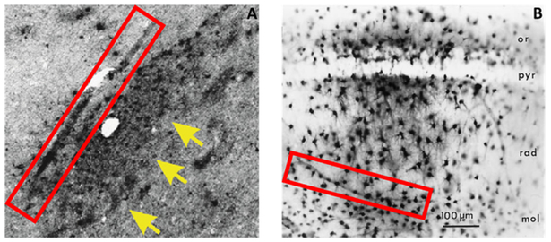 Figure 4 :