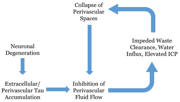 Figure 5 :