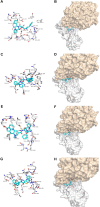 FIGURE 4
