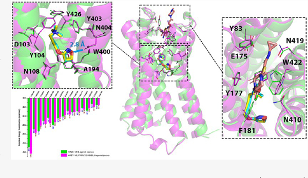 graphic file with name nihms-1904832-f0001.jpg