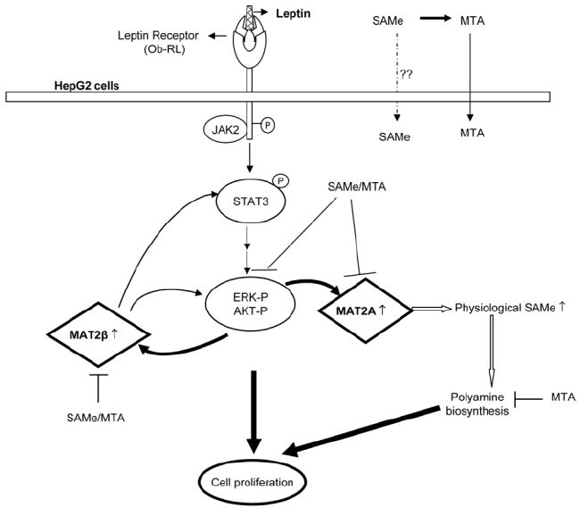 Fig. 11