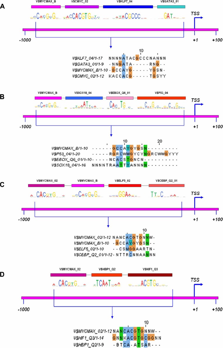 Figure 6