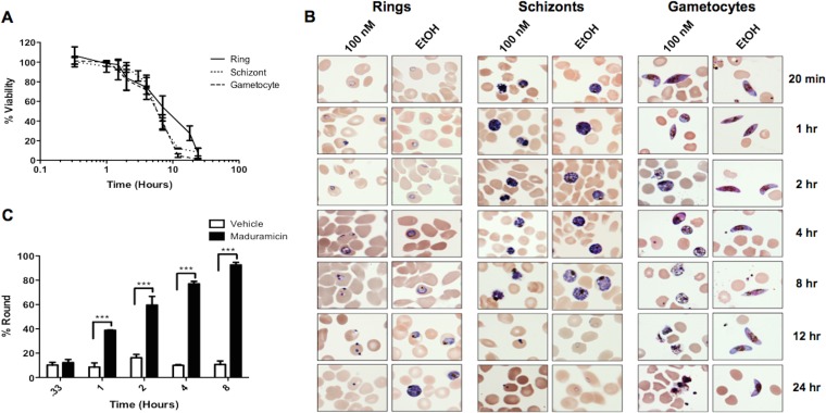 FIG 2