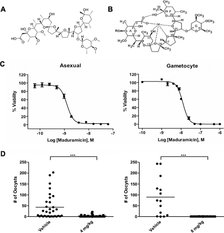 FIG 1